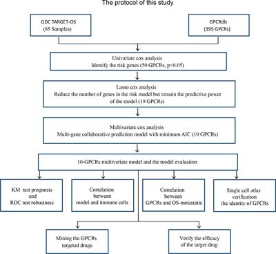 Prediction and Identification of GPCRs Targeting for Drug Repurposing in Osteosarcoma